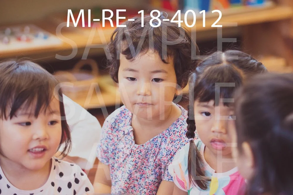 MI-RE-18-4012.jpg