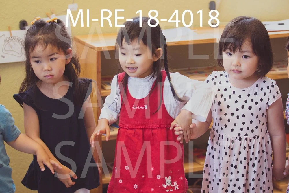MI-RE-18-4018.jpg