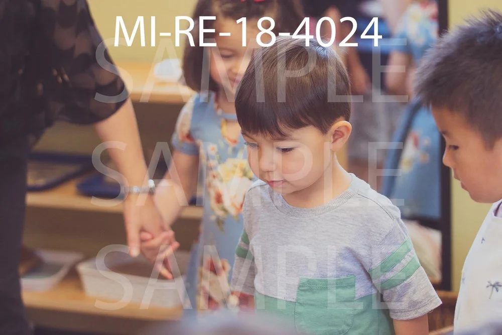 MI-RE-18-4024.jpg
