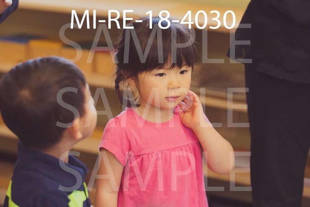 MI-RE-18-4030.jpg