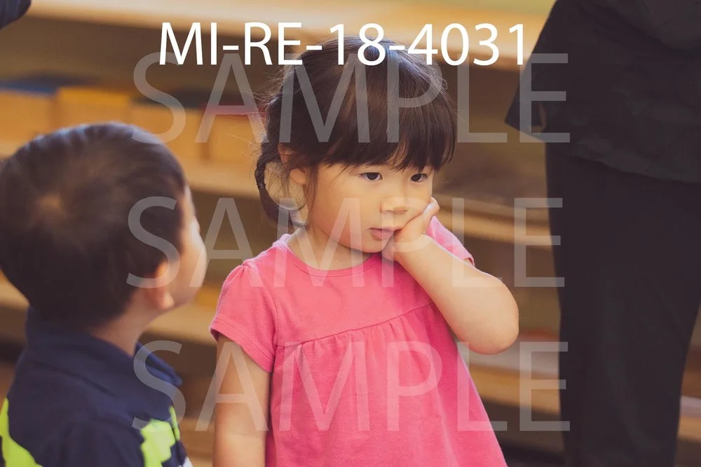 MI-RE-18-4031.jpg