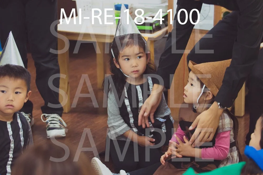 MI-RE-18-4100.jpg