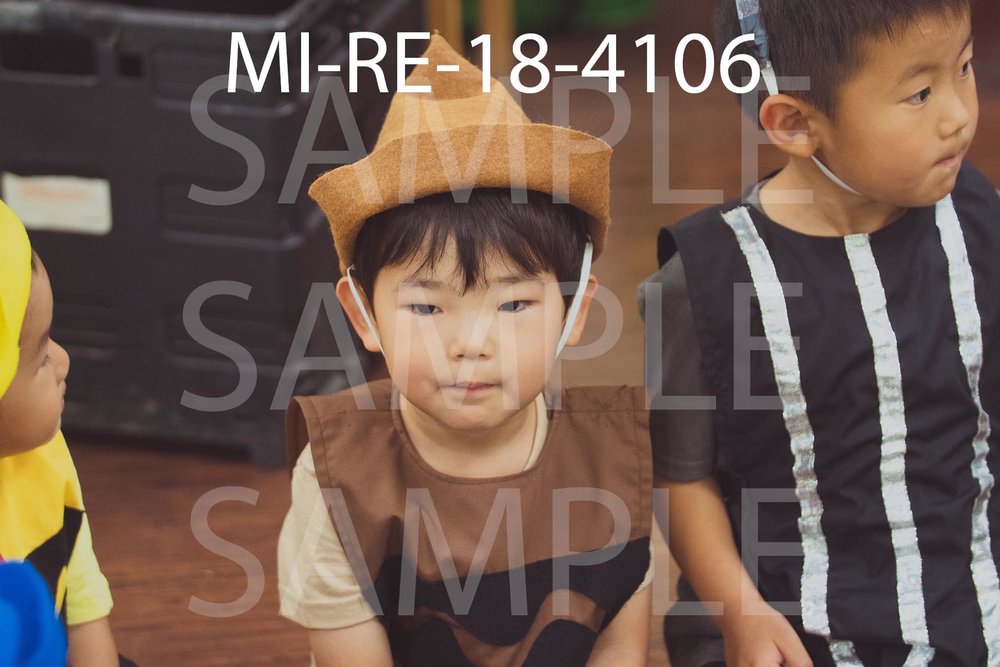 MI-RE-18-4106.jpg