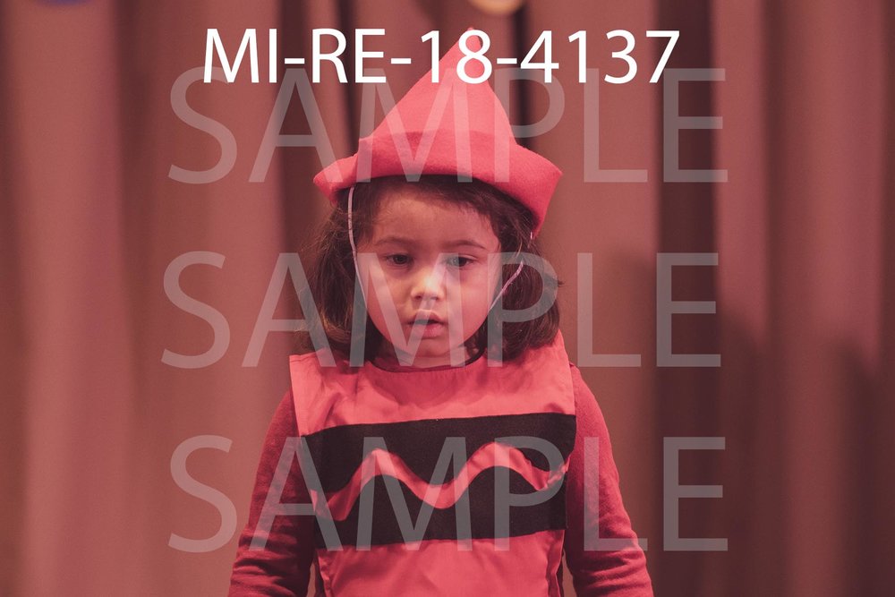 MI-RE-18-4137.jpg