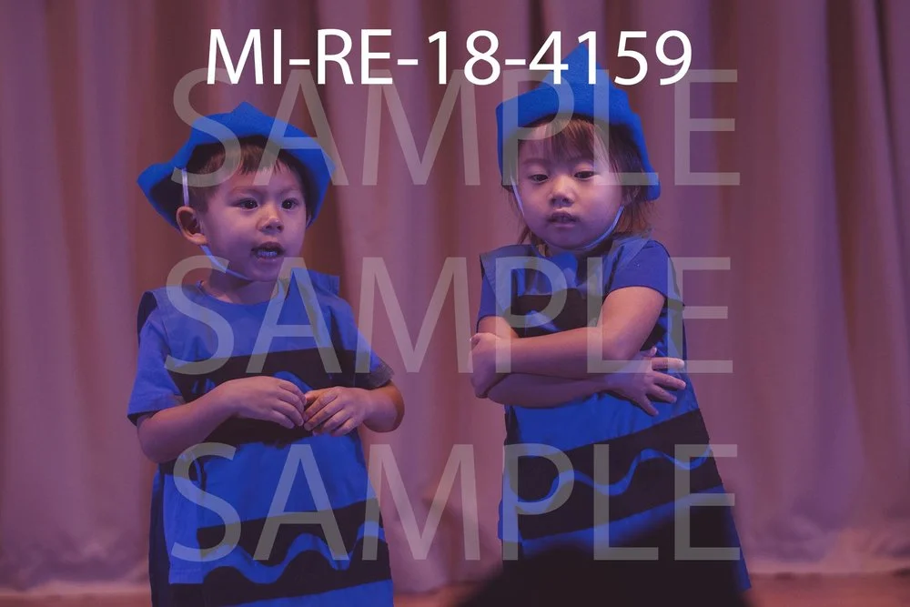 MI-RE-18-4159.jpg