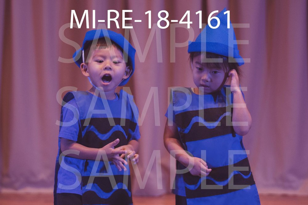 MI-RE-18-4161.jpg