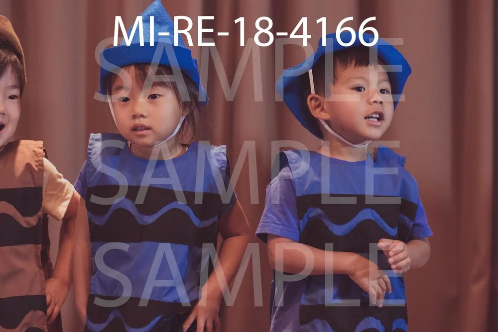 MI-RE-18-4166.jpg