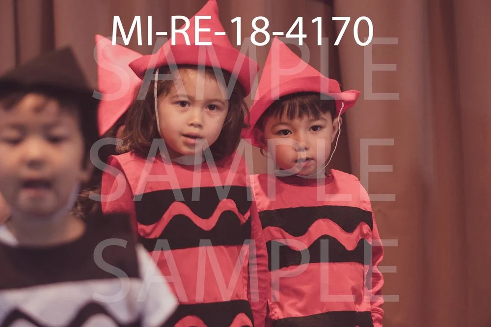 MI-RE-18-4170.jpg