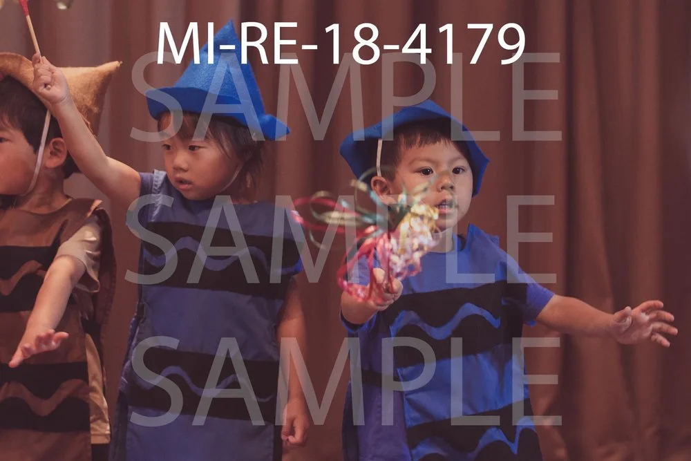 MI-RE-18-4179.jpg