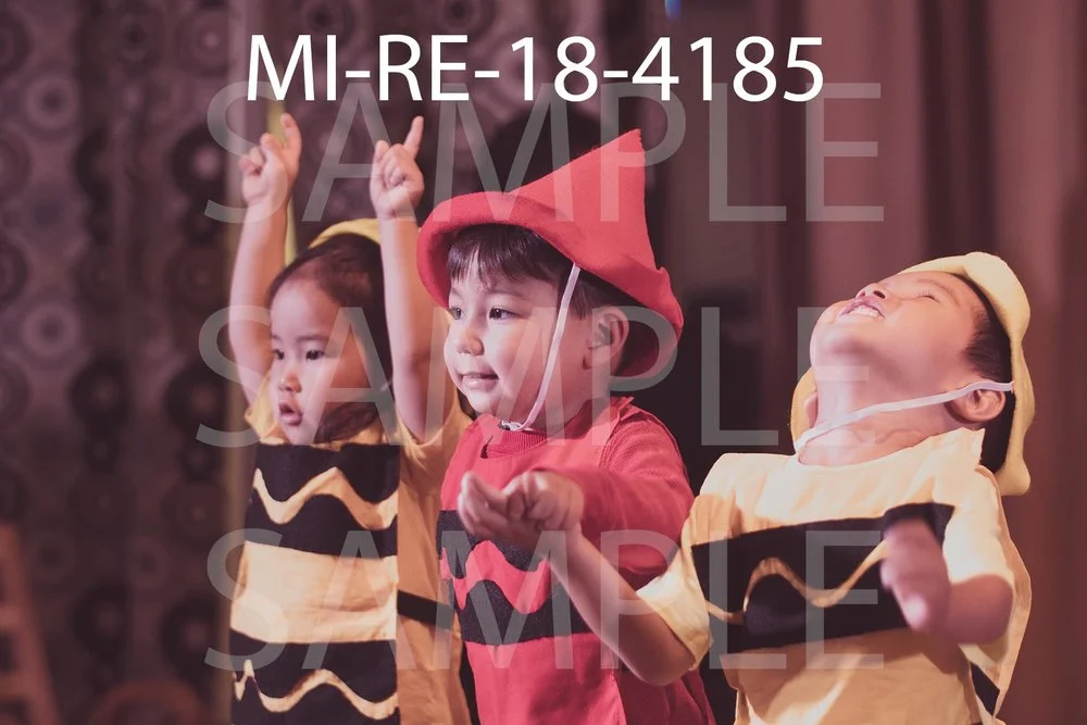MI-RE-18-4185.jpg