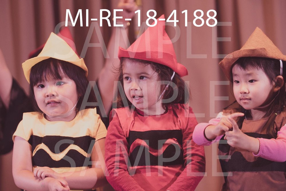 MI-RE-18-4188.jpg