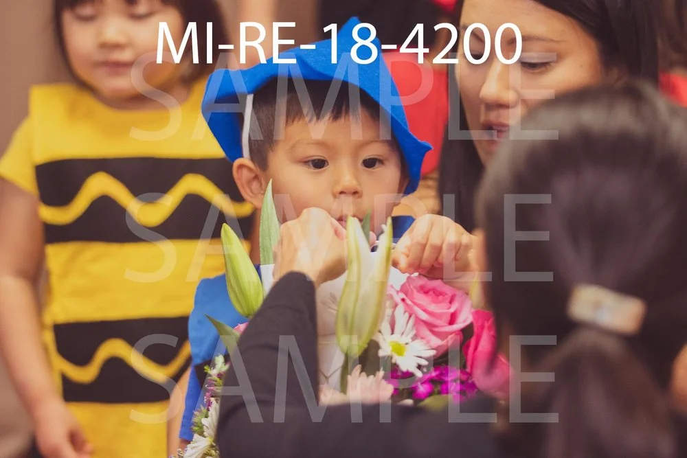 MI-RE-18-4200.jpg