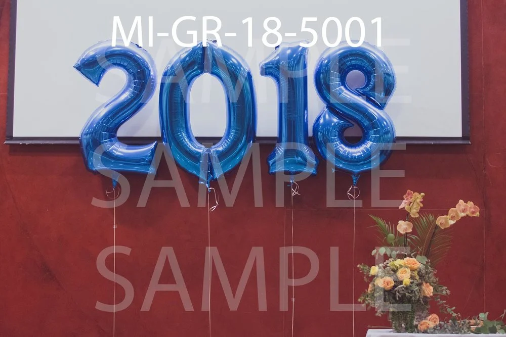 MI-GR-18-5001.jpg