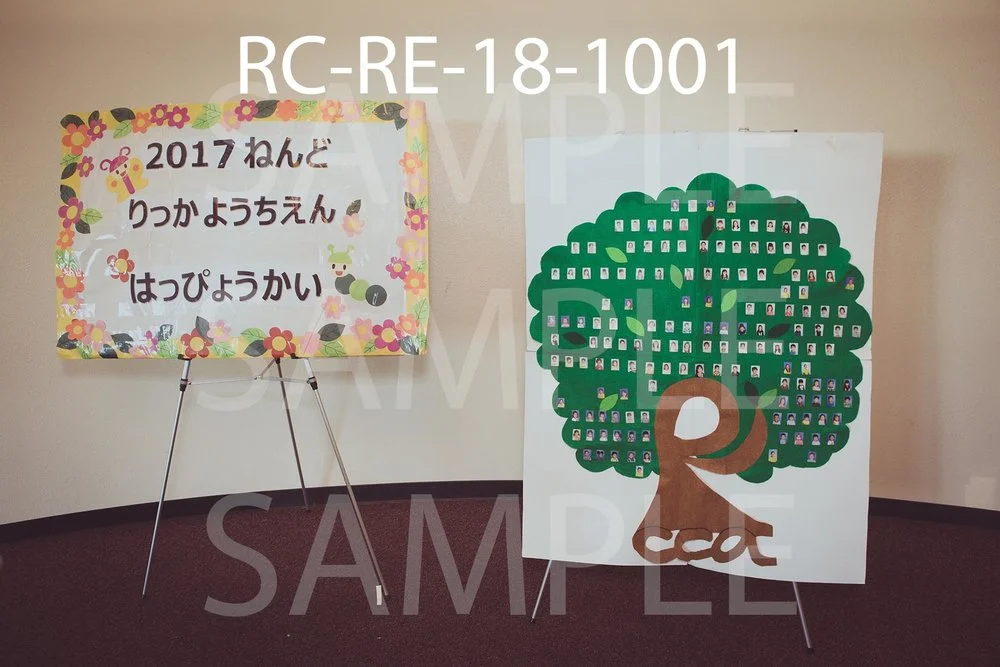 RC-RE-18-1001.jpg