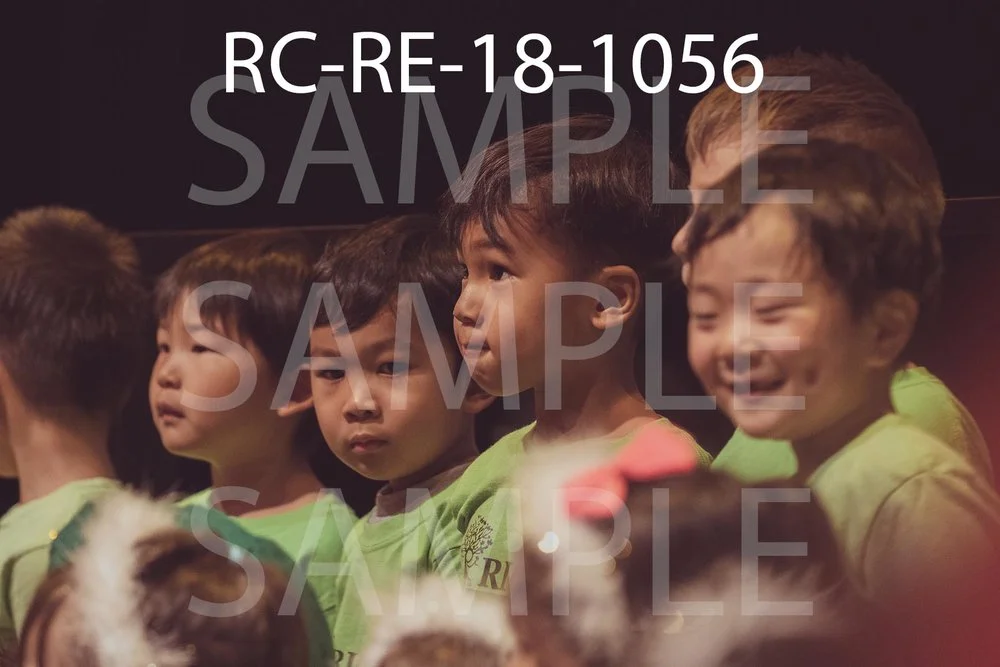 RC-RE-18-1056.jpg