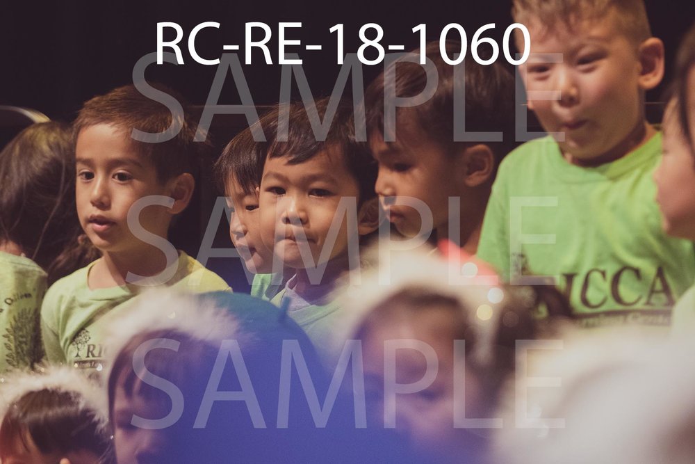 RC-RE-18-1060.jpg