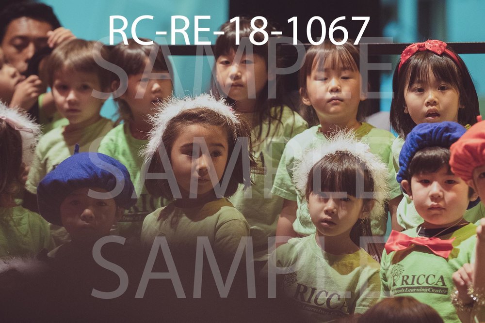 RC-RE-18-1067.jpg