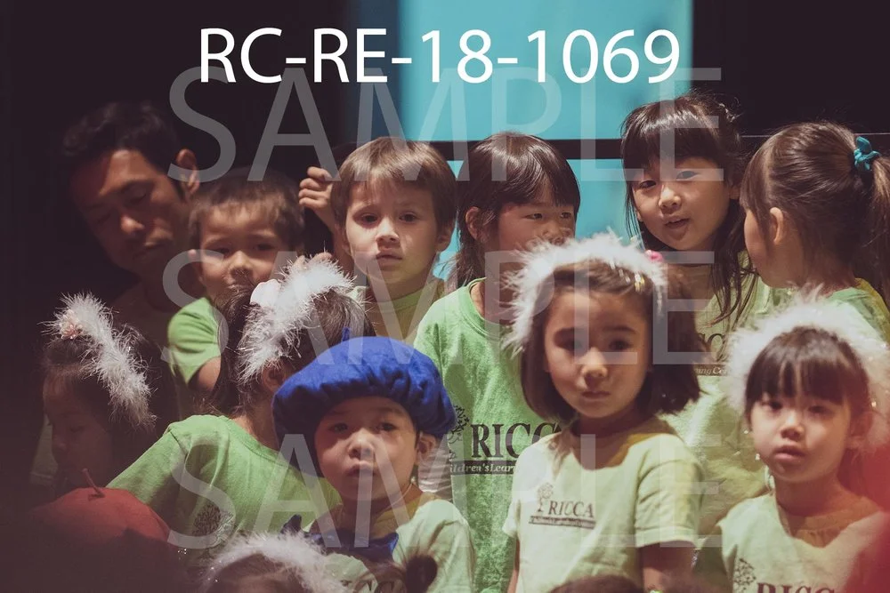 RC-RE-18-1069.jpg