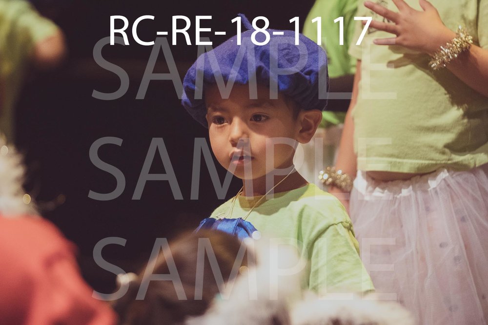 RC-RE-18-1117.jpg
