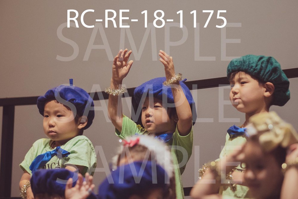 RC-RE-18-1175.jpg