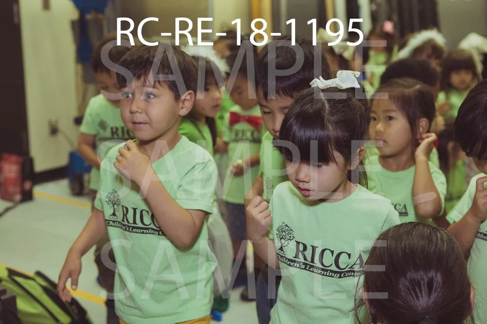 RC-RE-18-1195.jpg