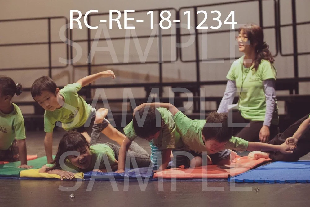 RC-RE-18-1234.jpg
