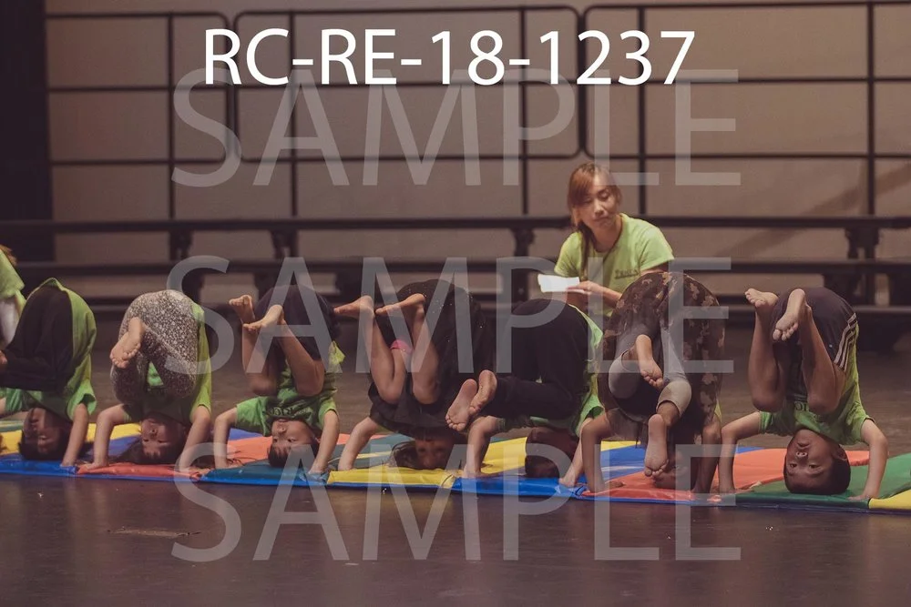 RC-RE-18-1237.jpg