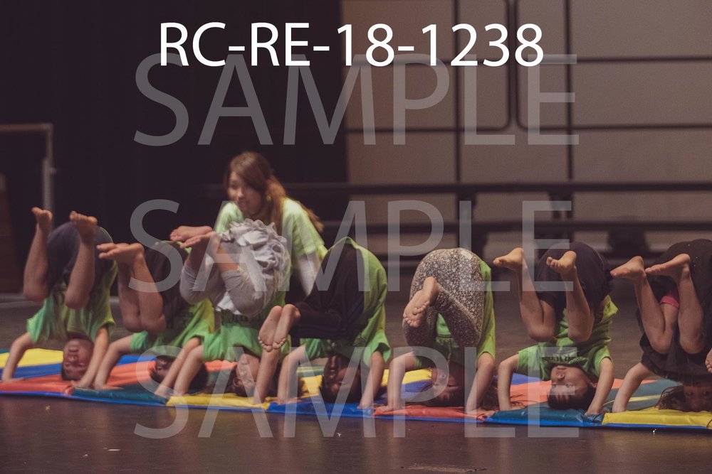 RC-RE-18-1238.jpg