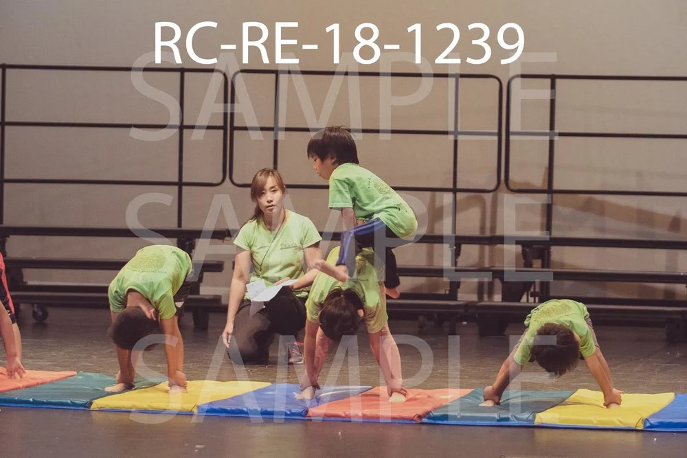 RC-RE-18-1239.jpg