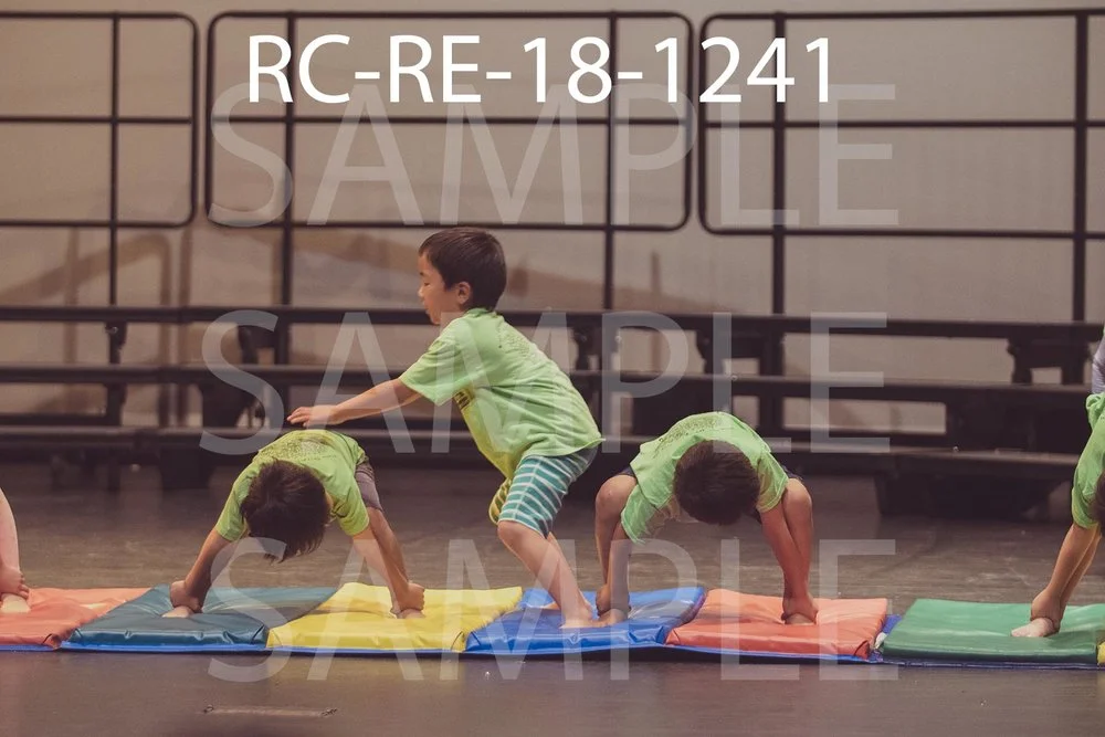 RC-RE-18-1241.jpg
