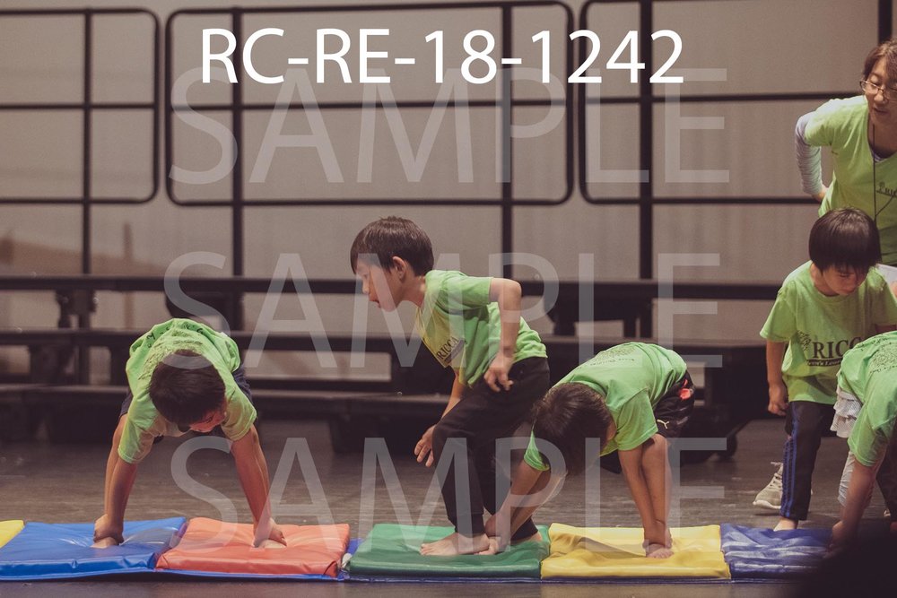 RC-RE-18-1242.jpg