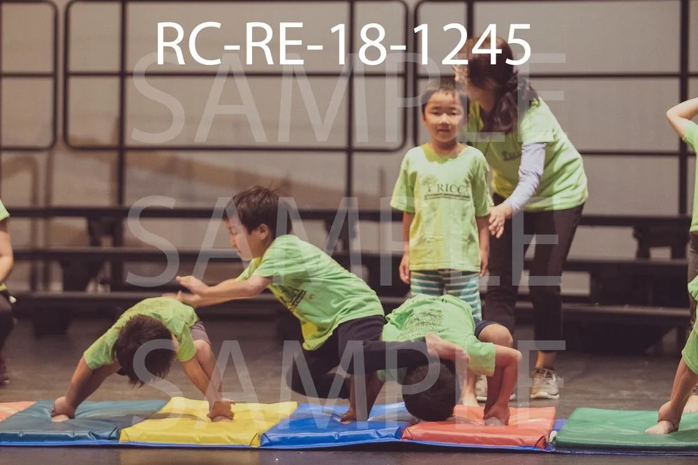 RC-RE-18-1245.jpg