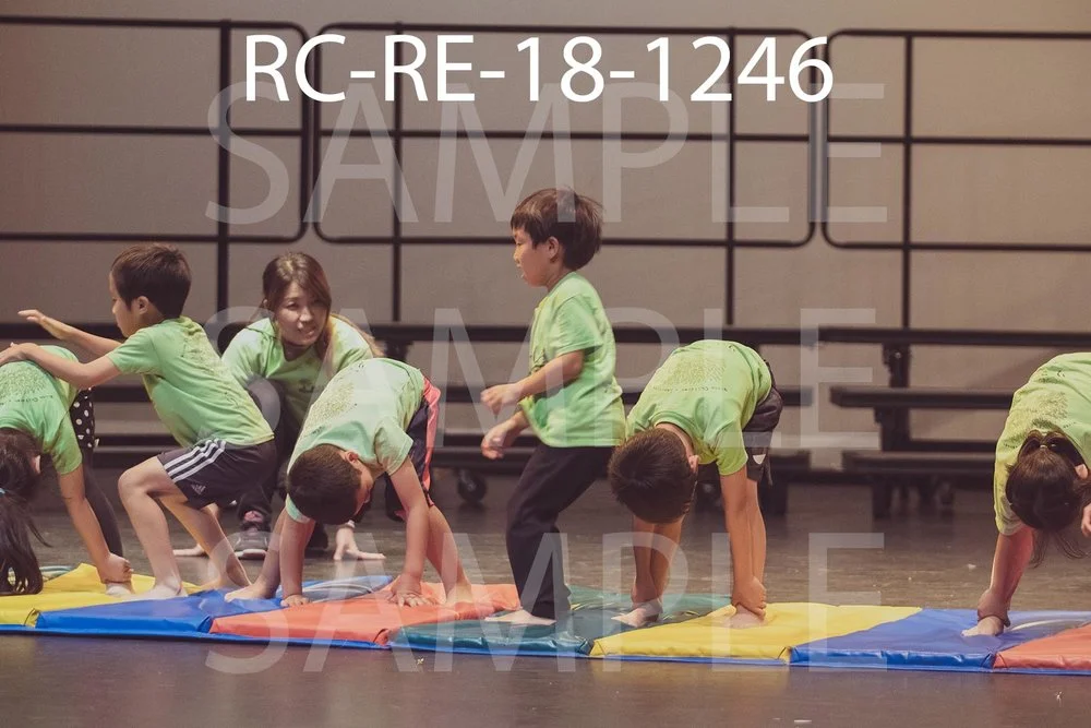 RC-RE-18-1246.jpg