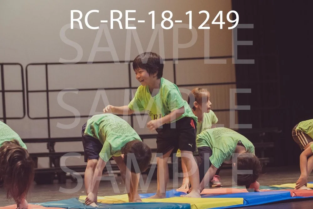 RC-RE-18-1249.jpg