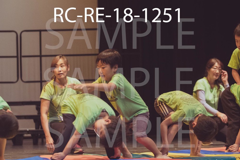 RC-RE-18-1251.jpg