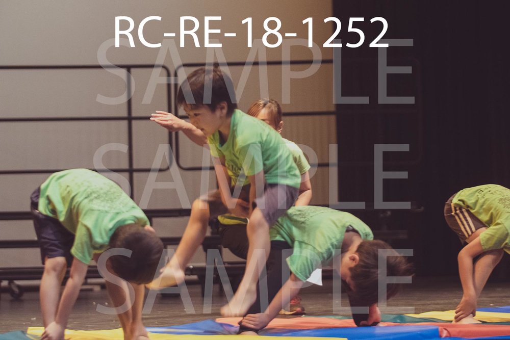 RC-RE-18-1252.jpg