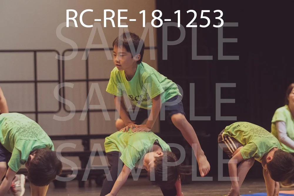 RC-RE-18-1253.jpg