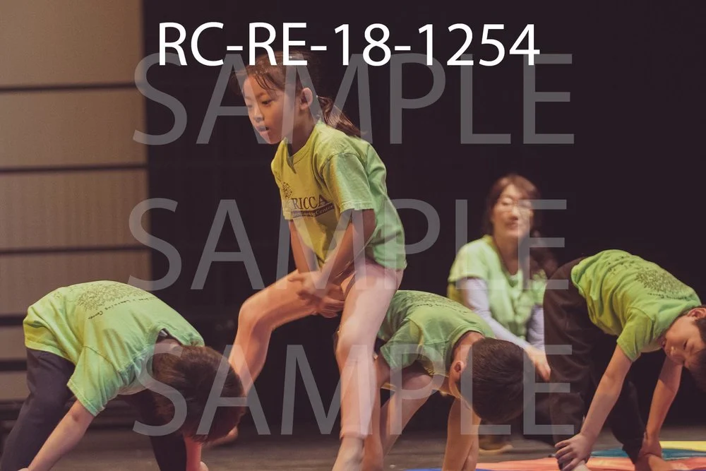 RC-RE-18-1254.jpg