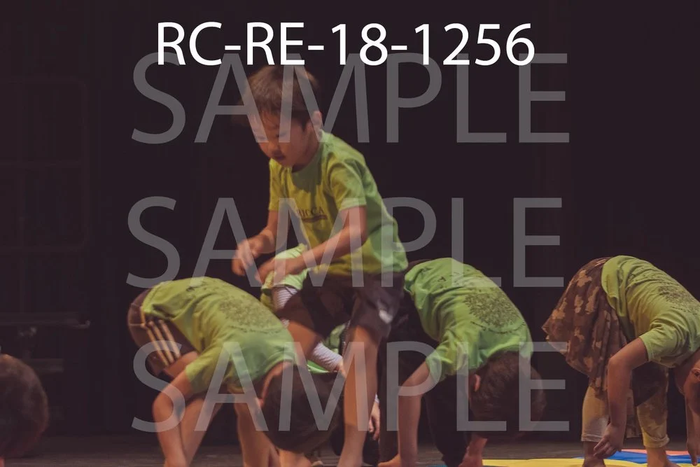 RC-RE-18-1256.jpg