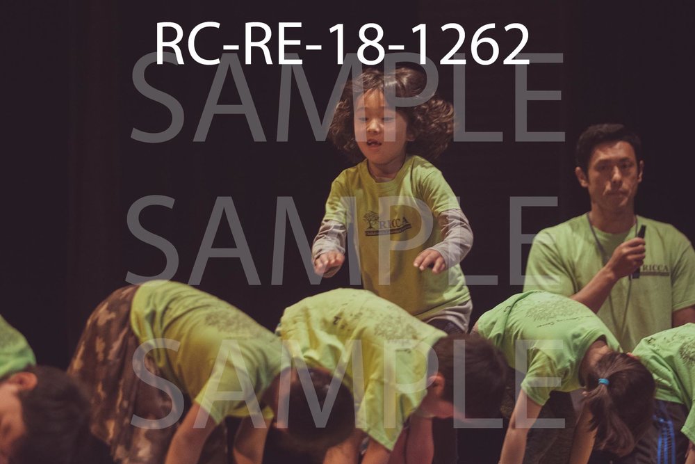 RC-RE-18-1262.jpg