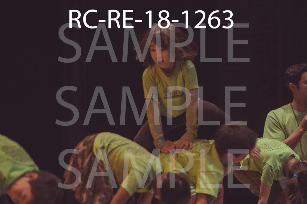 RC-RE-18-1263.jpg