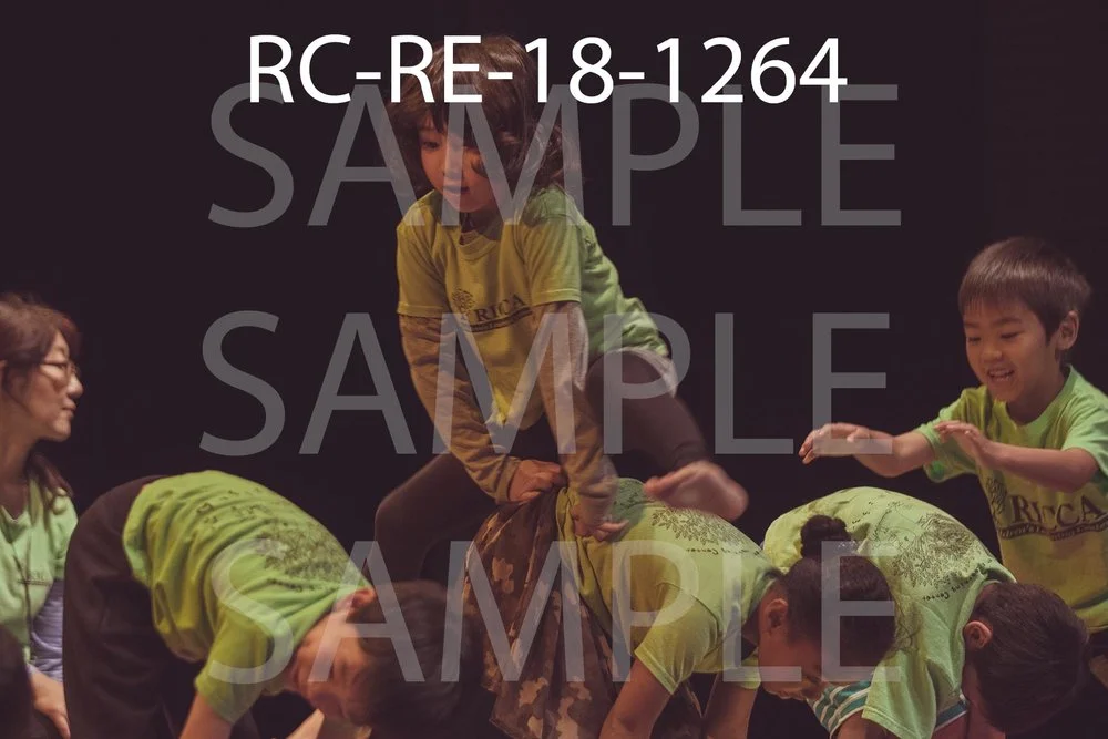 RC-RE-18-1264.jpg