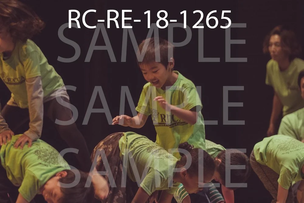 RC-RE-18-1265.jpg