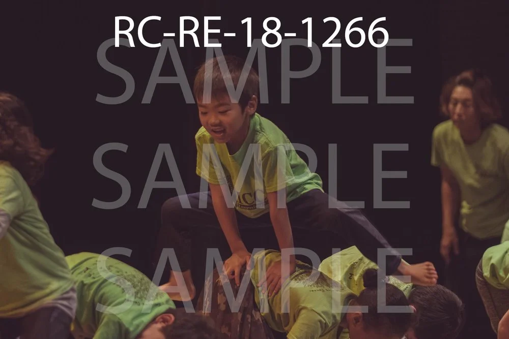 RC-RE-18-1266.jpg