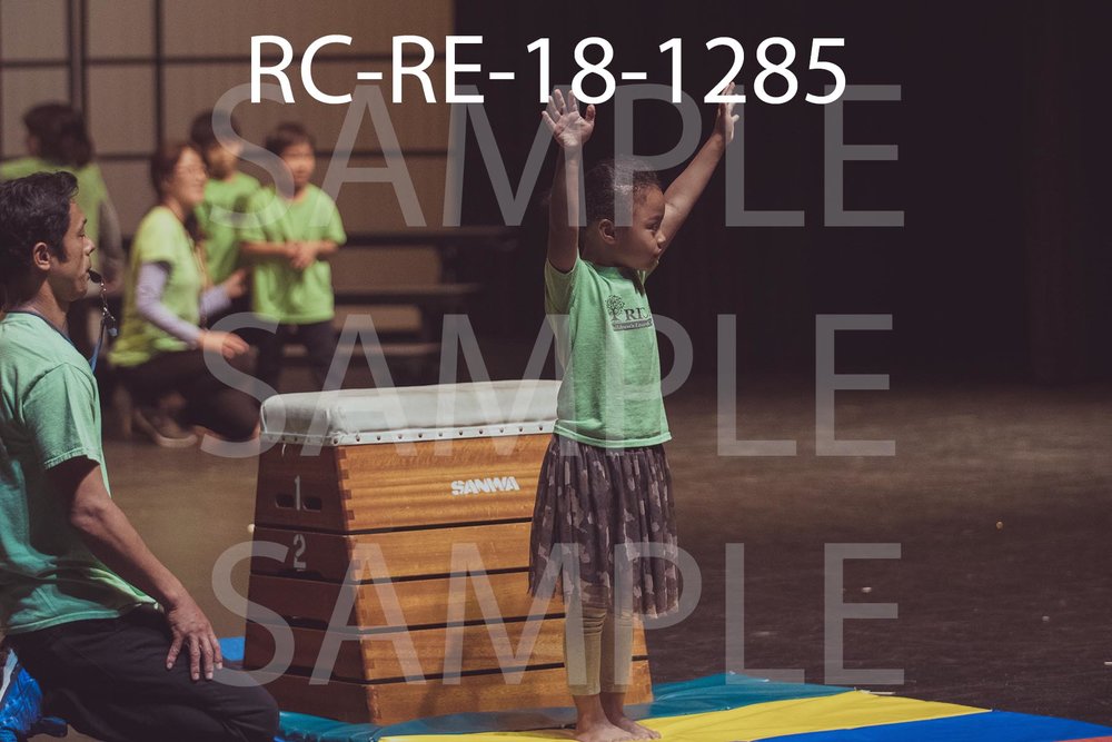 RC-RE-18-1285.jpg
