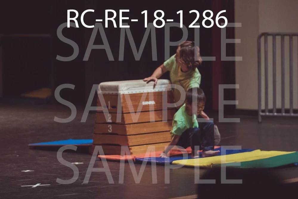 RC-RE-18-1286.jpg