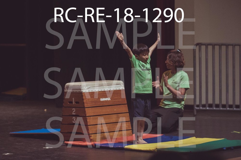 RC-RE-18-1290.jpg