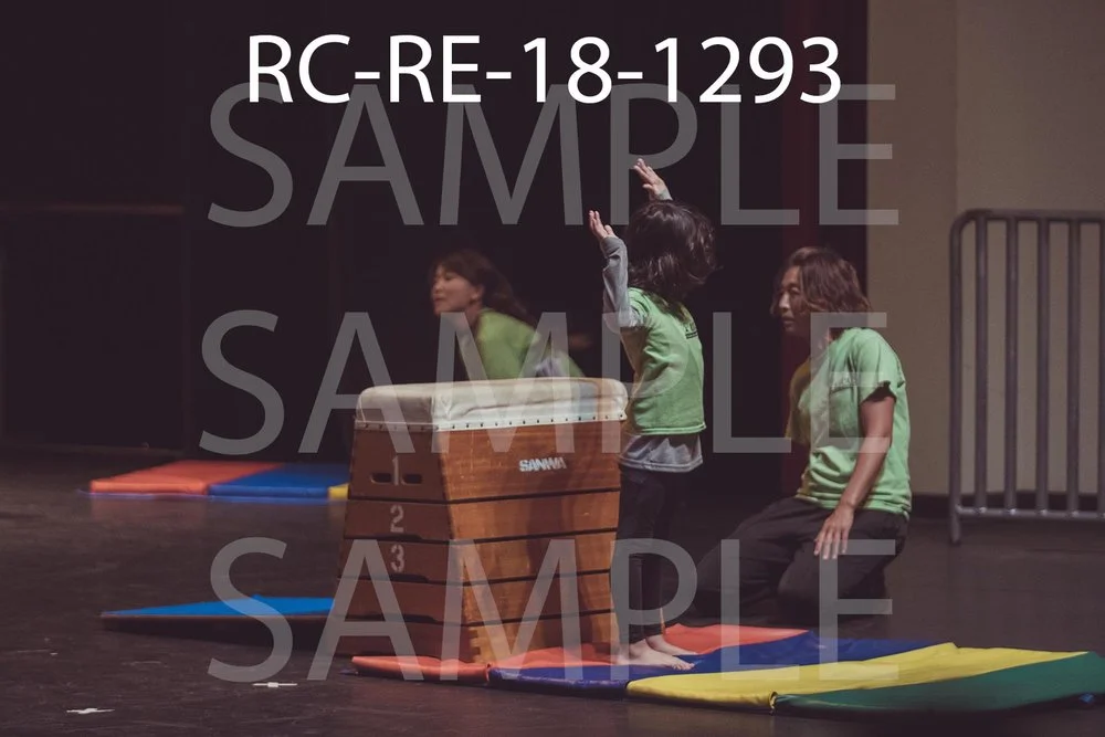 RC-RE-18-1293.jpg