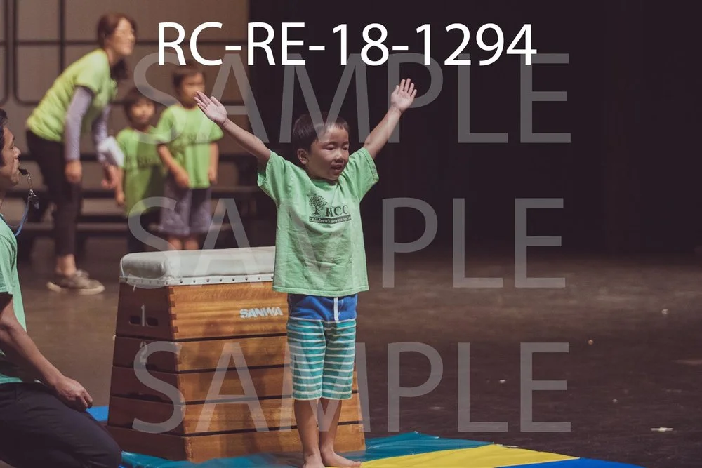 RC-RE-18-1294.jpg