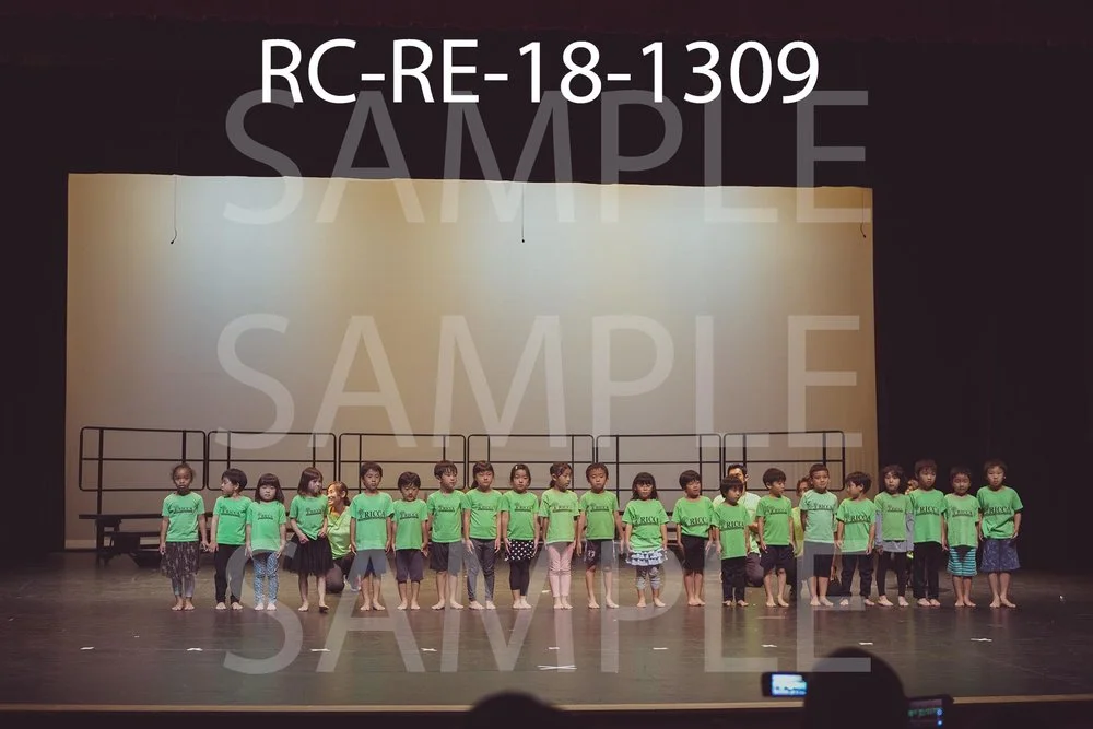 RC-RE-18-1309.jpg